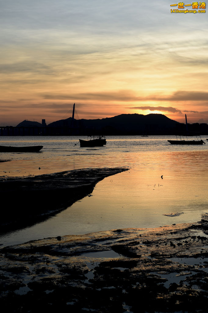 DSC_0137.JPG