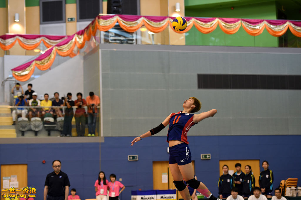 DSC_1468.JPG