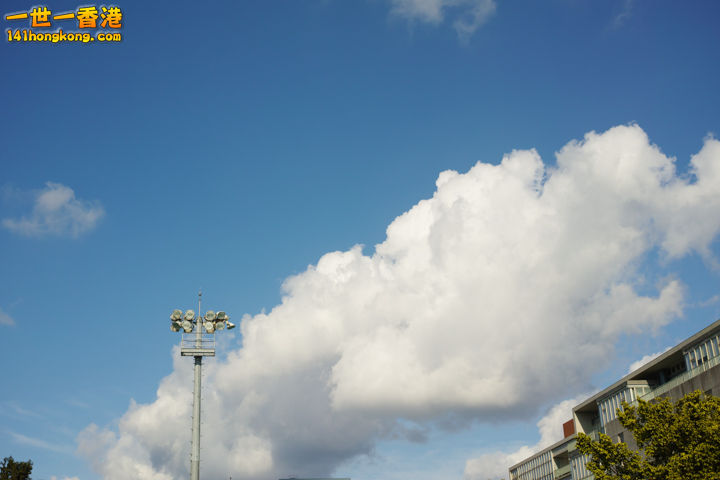93.jpg