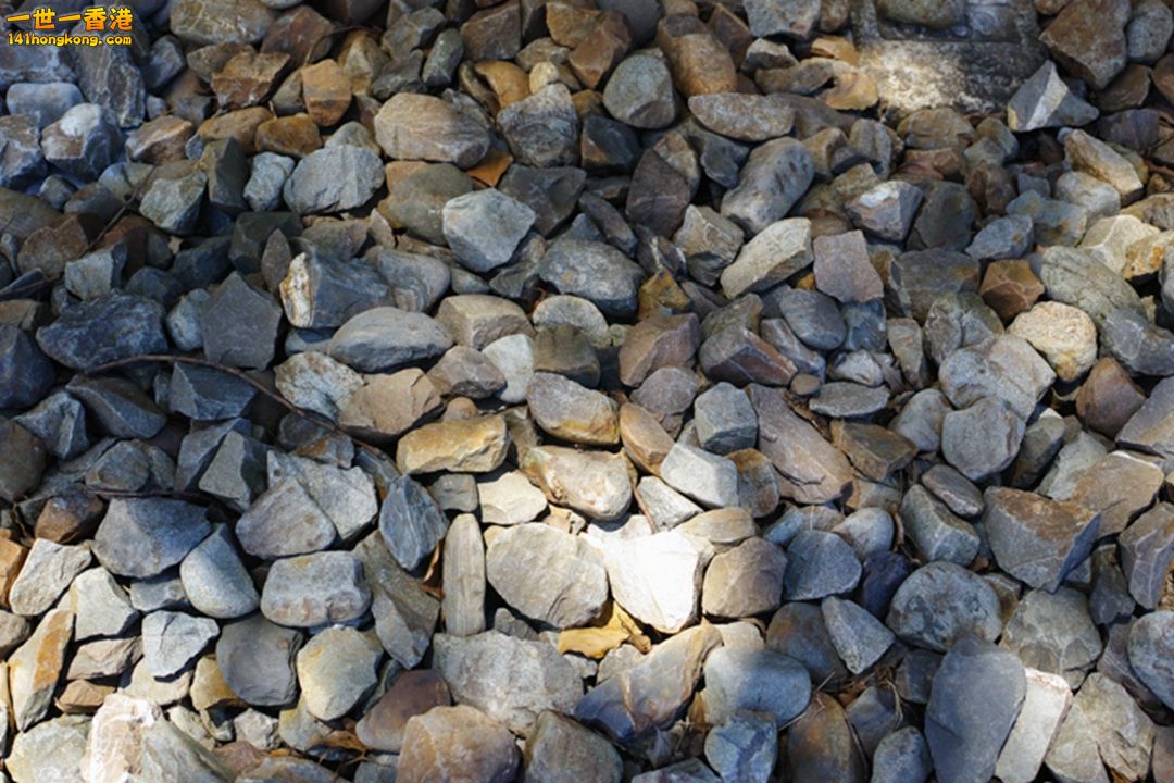 114.jpg