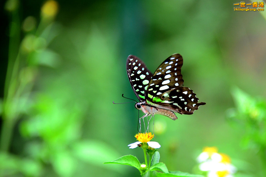DSC_3480.jpg