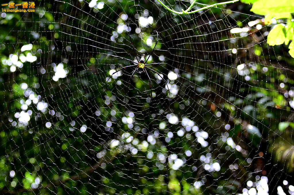DSC_3181.jpg