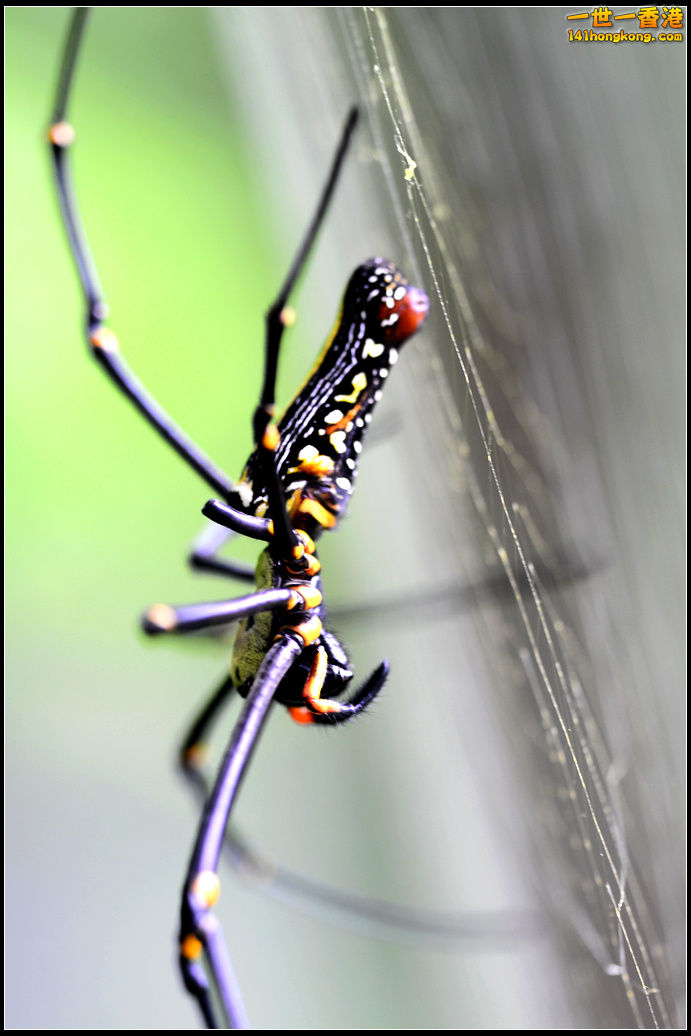 DSC_5021.jpg