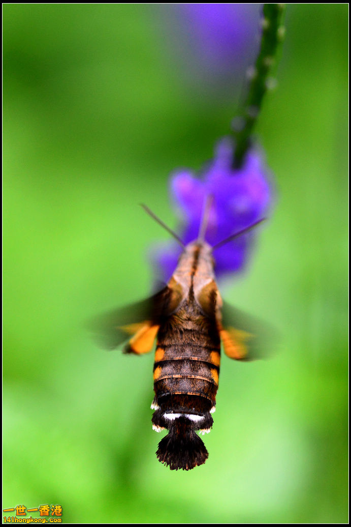 DSC_5123.jpg
