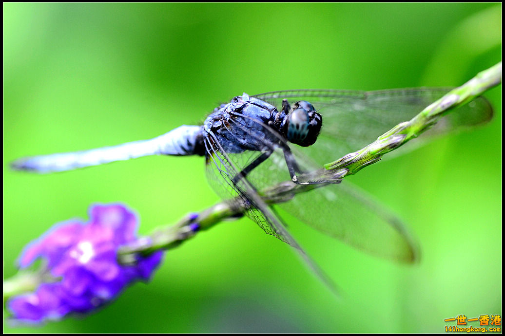 DSC_5072.jpg