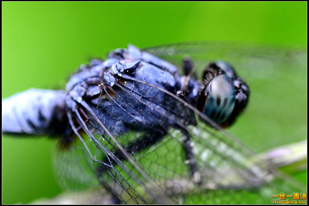 DSC_5076.jpg