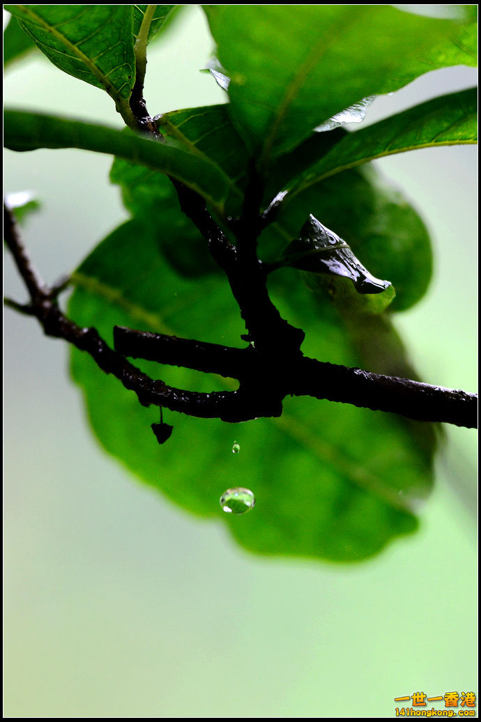 DSC_5211.jpg