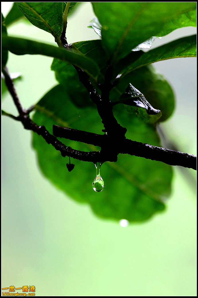 DSC_5252.jpg