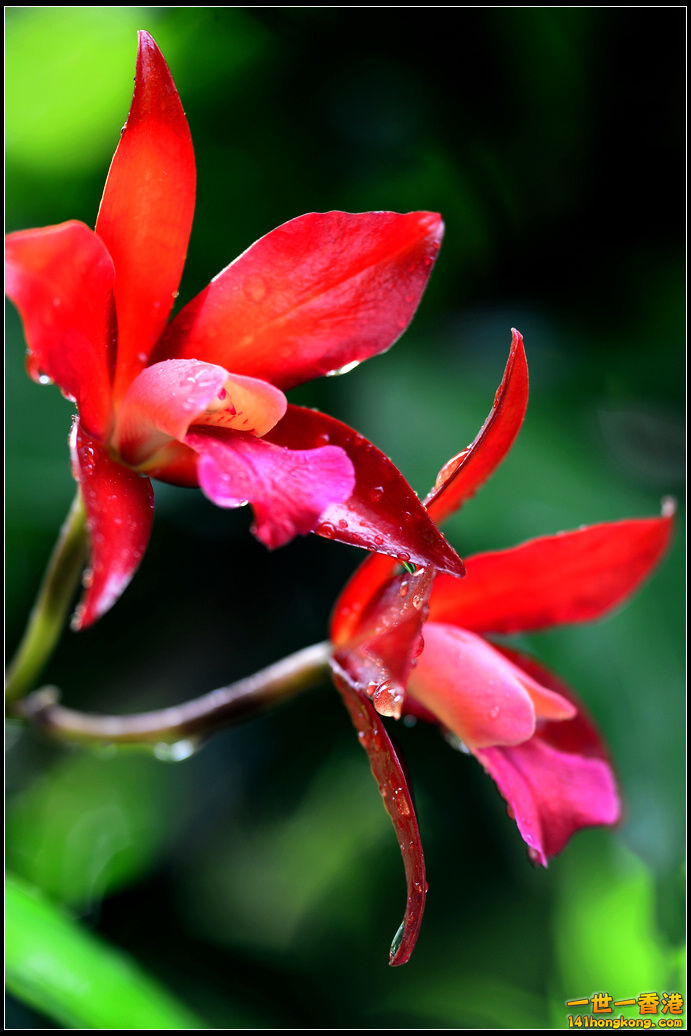 DSC_5290.jpg