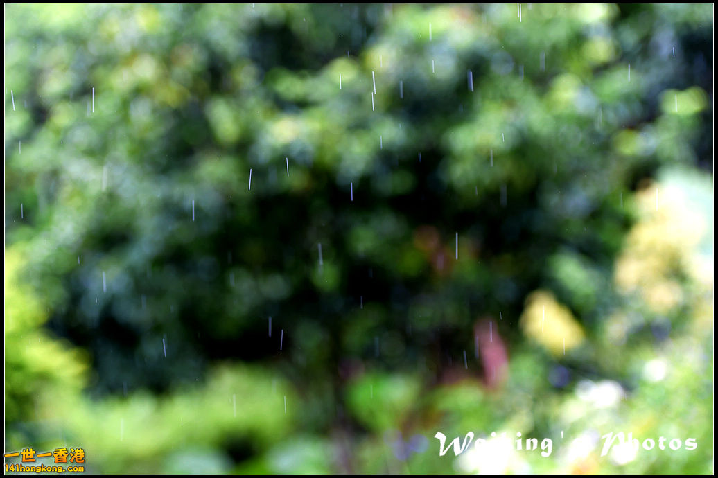 D4S_1150.jpg