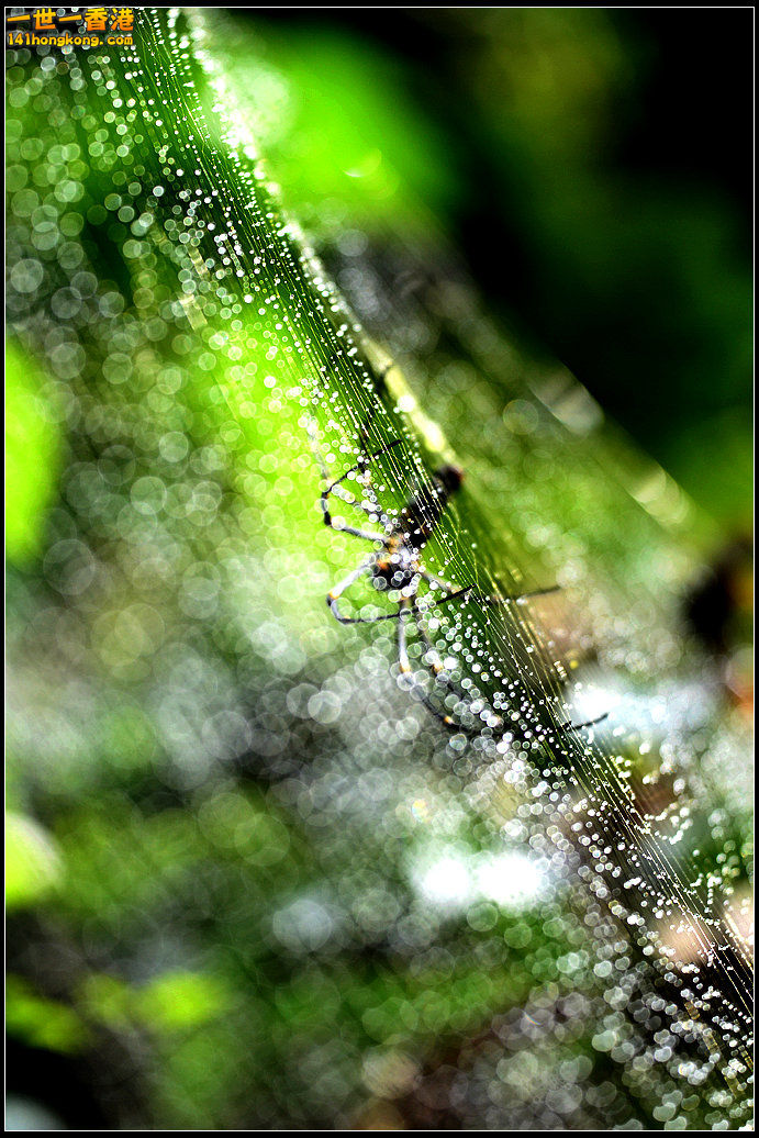 DSC_5340.jpg
