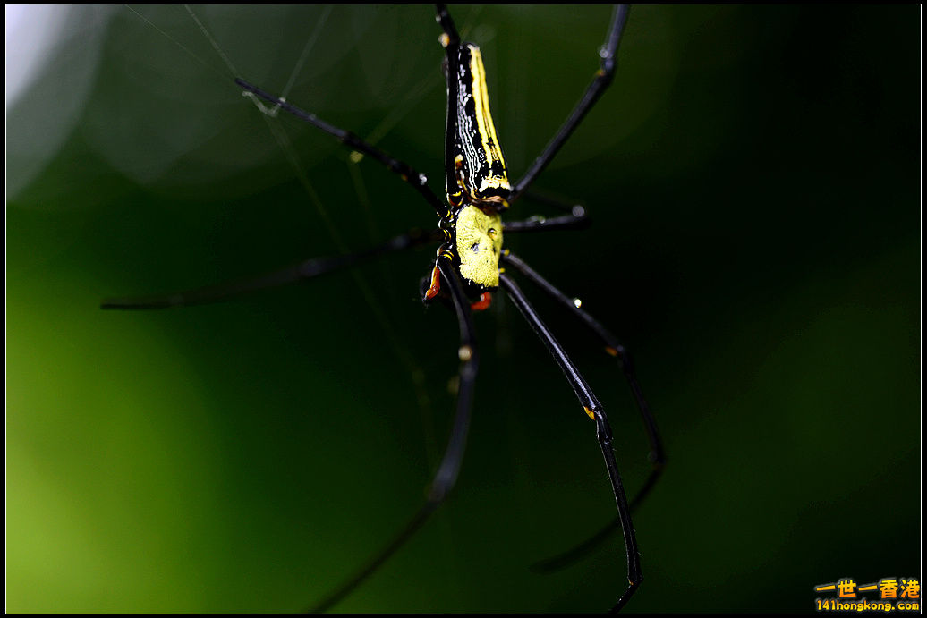 DSC_5369.jpg