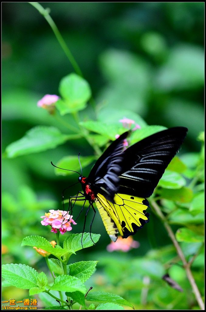 DSC_1734.jpg