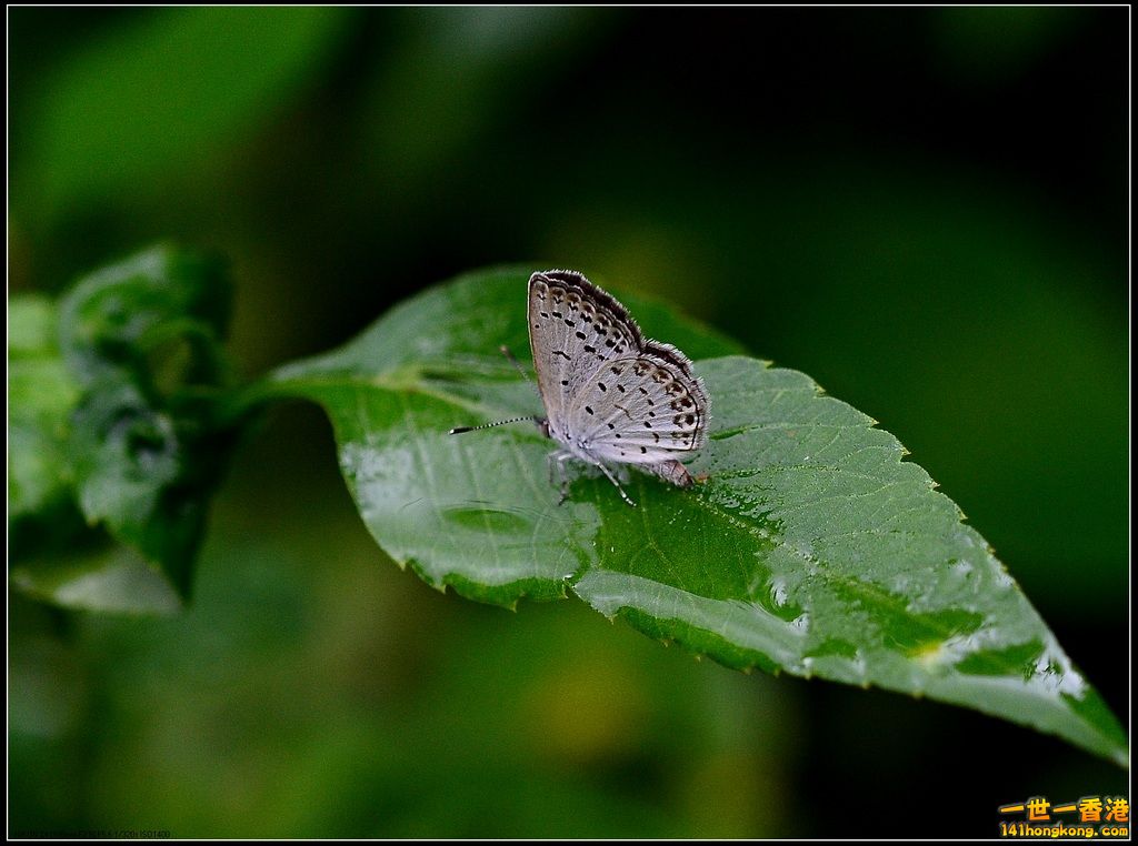 DSC_1795.jpg