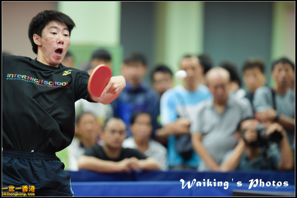 Ping-Pong-214.jpg