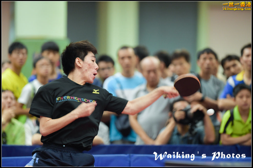 Ping-Pong-215.jpg
