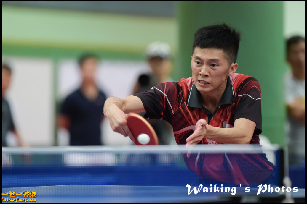 Ping-Pong-254.jpg