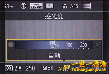 46.jpg