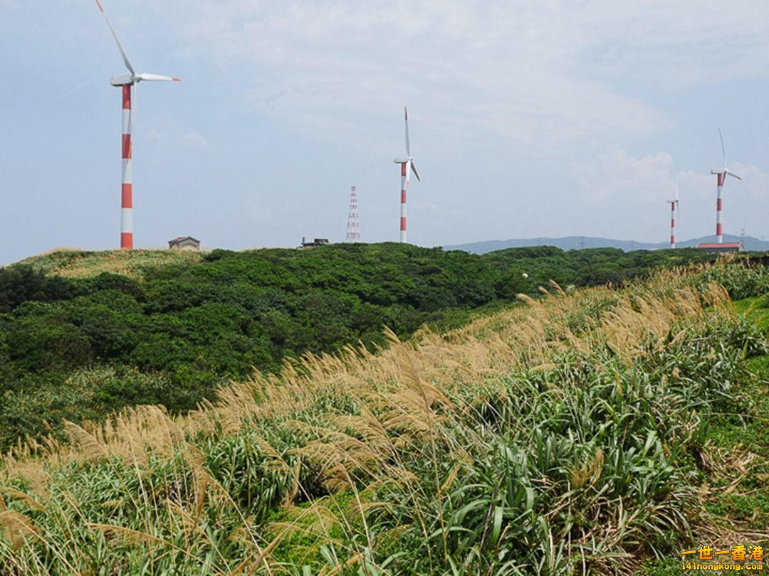 79.jpg
