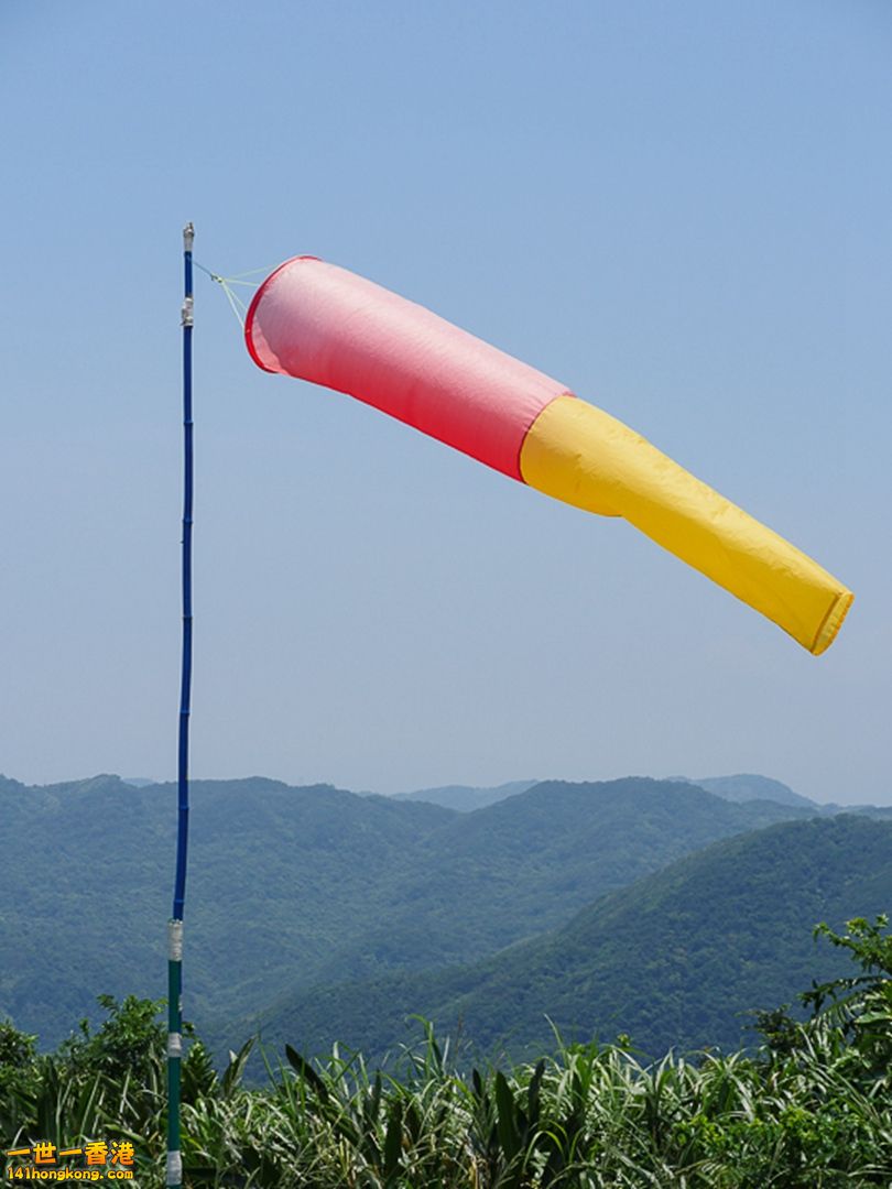 112.jpg
