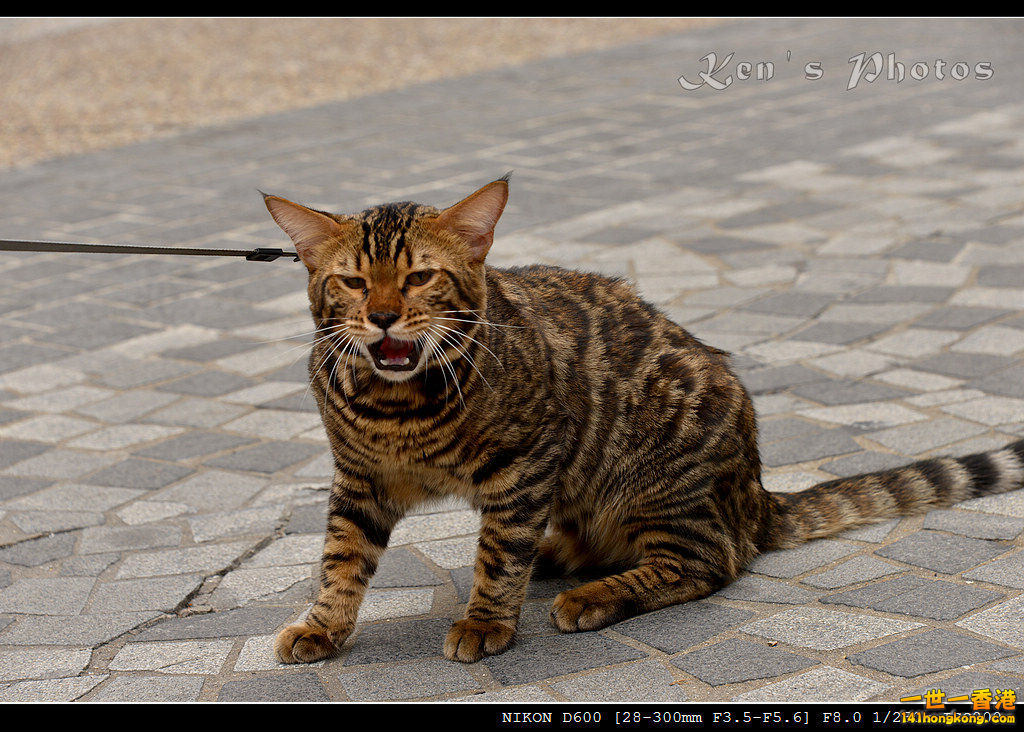 DSC_9179.jpg
