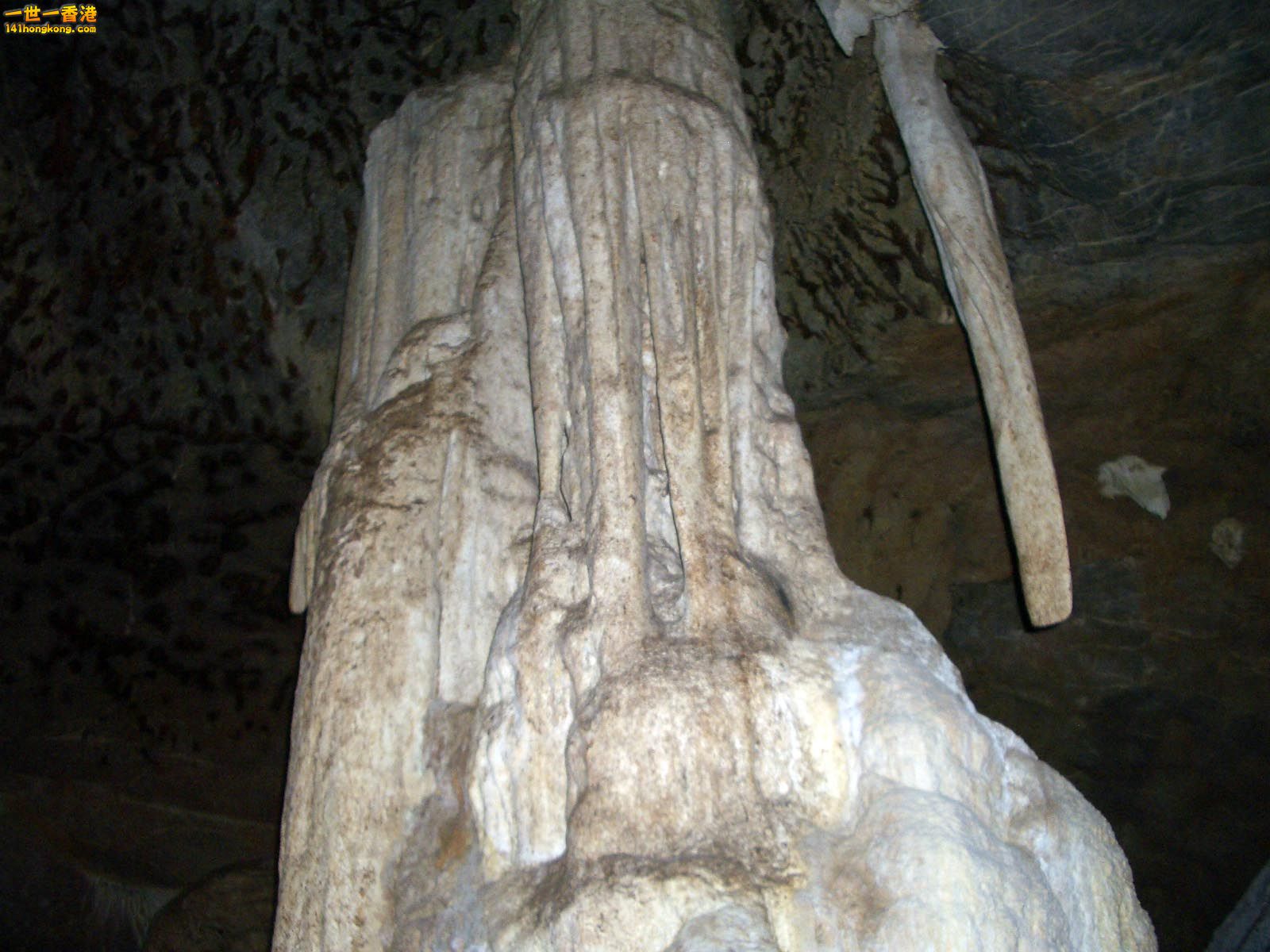 IMGP2205.JPG