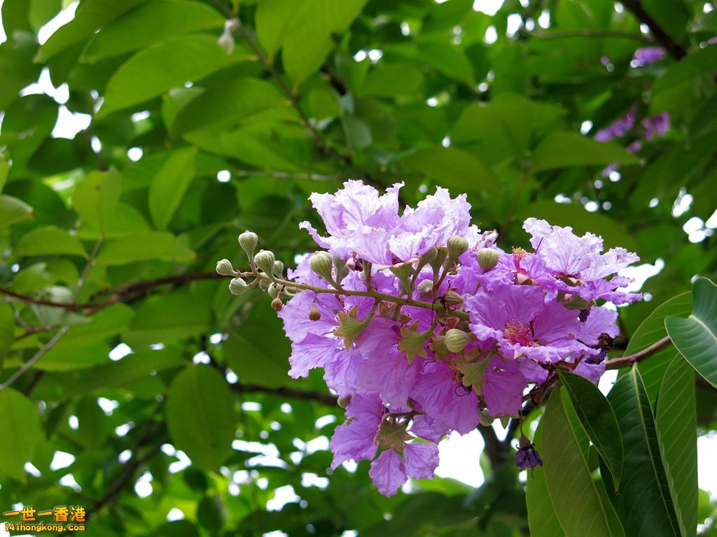 IMG_5270.JPG