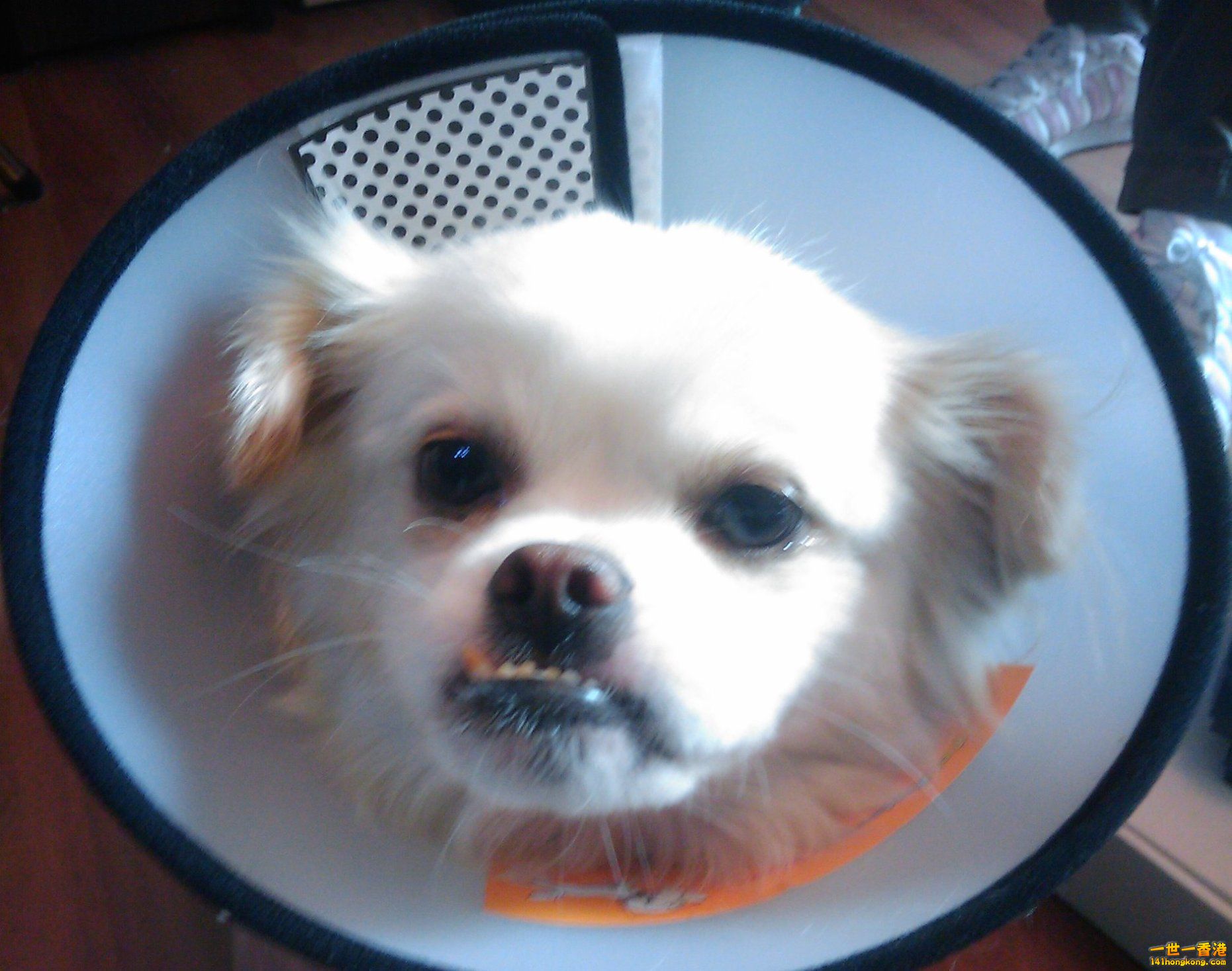 20140703173359.jpg