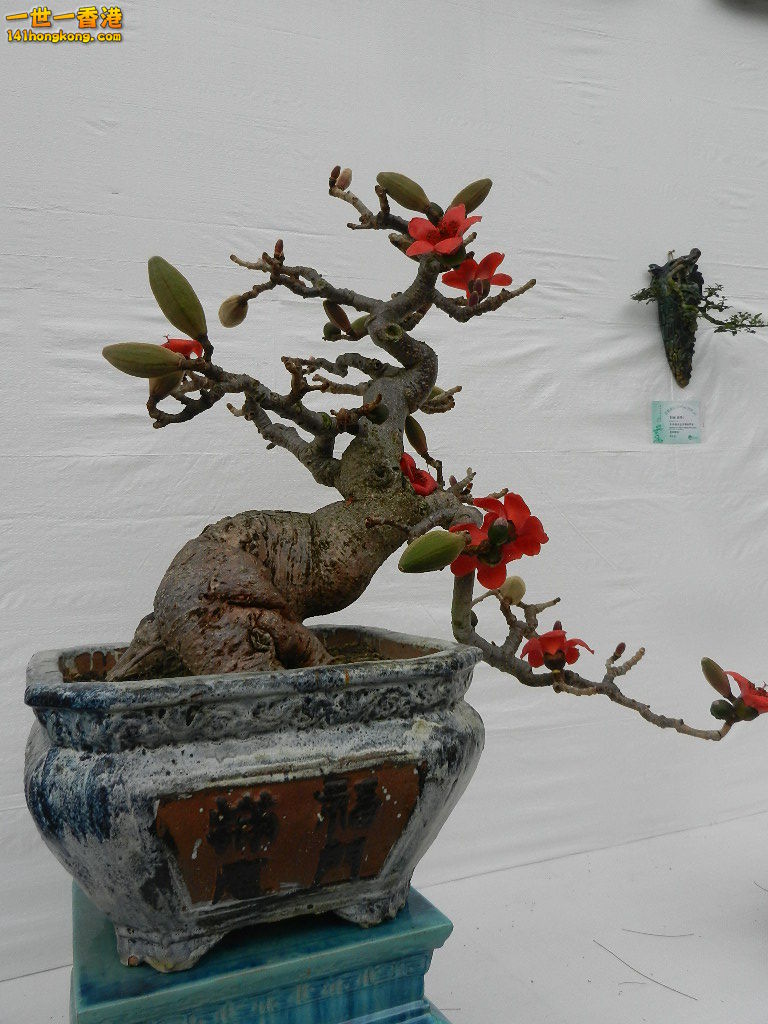 DSCN4188.JPG