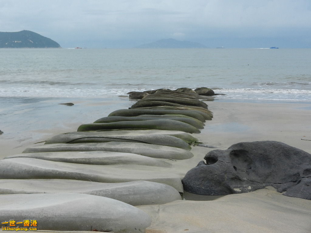 DSCN8529.JPG