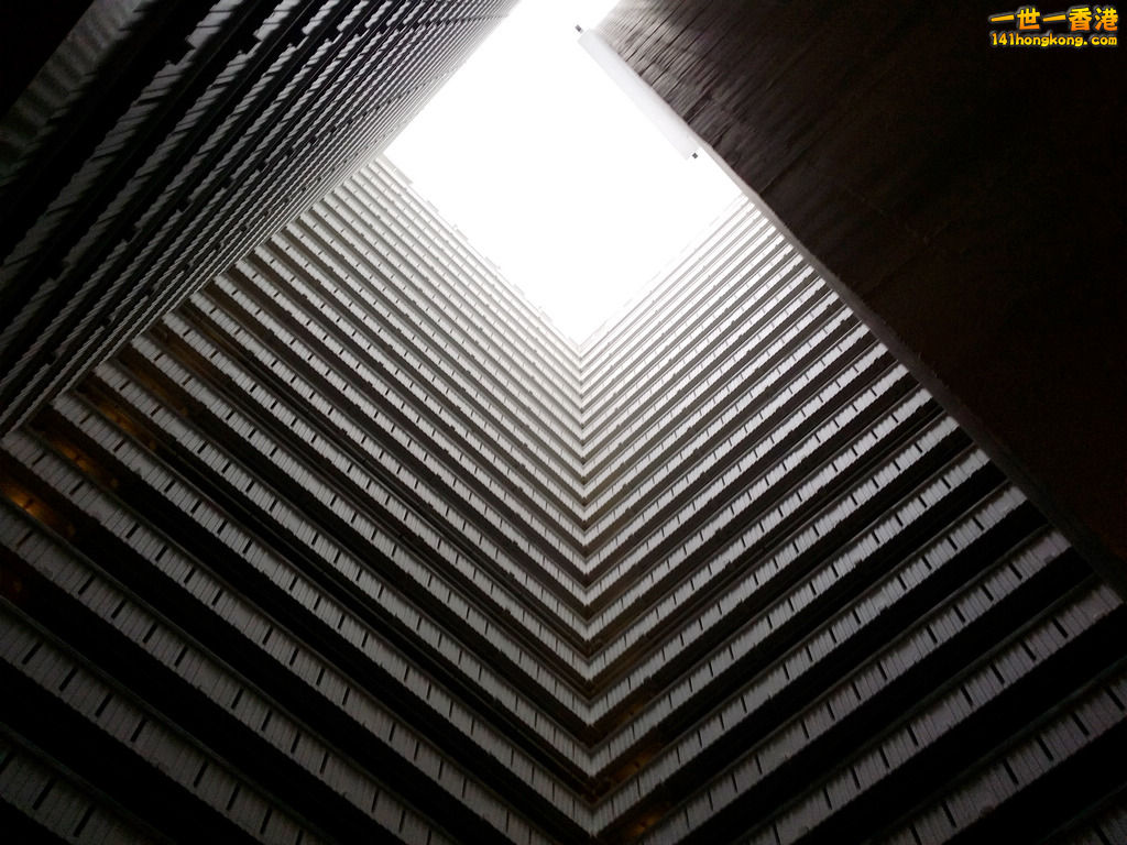 20140625_110441a.jpg