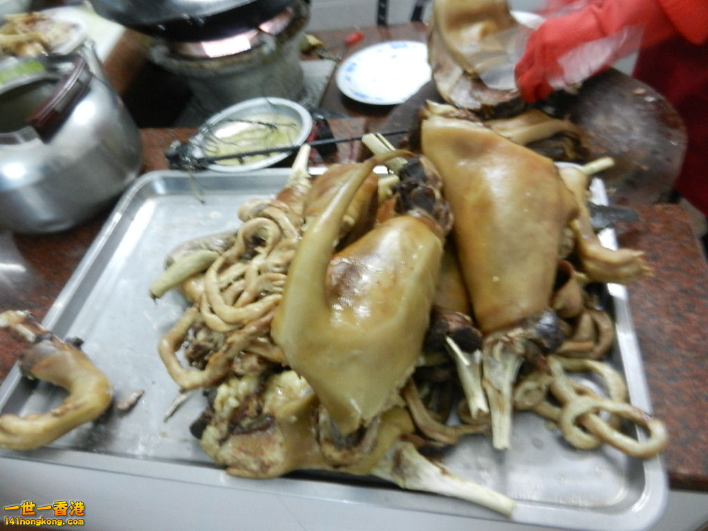 DSCN0126.JPG
