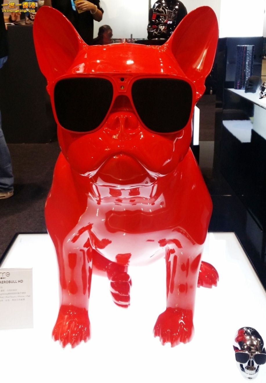 20140809_125130.jpg