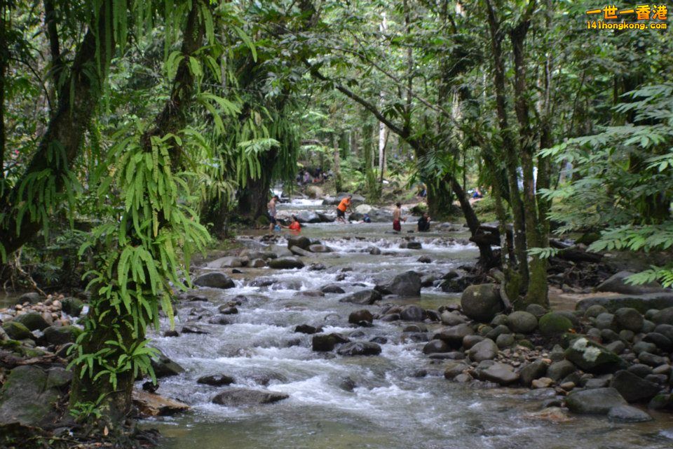Hutan Rekreasi Sg Chongkak.jpg