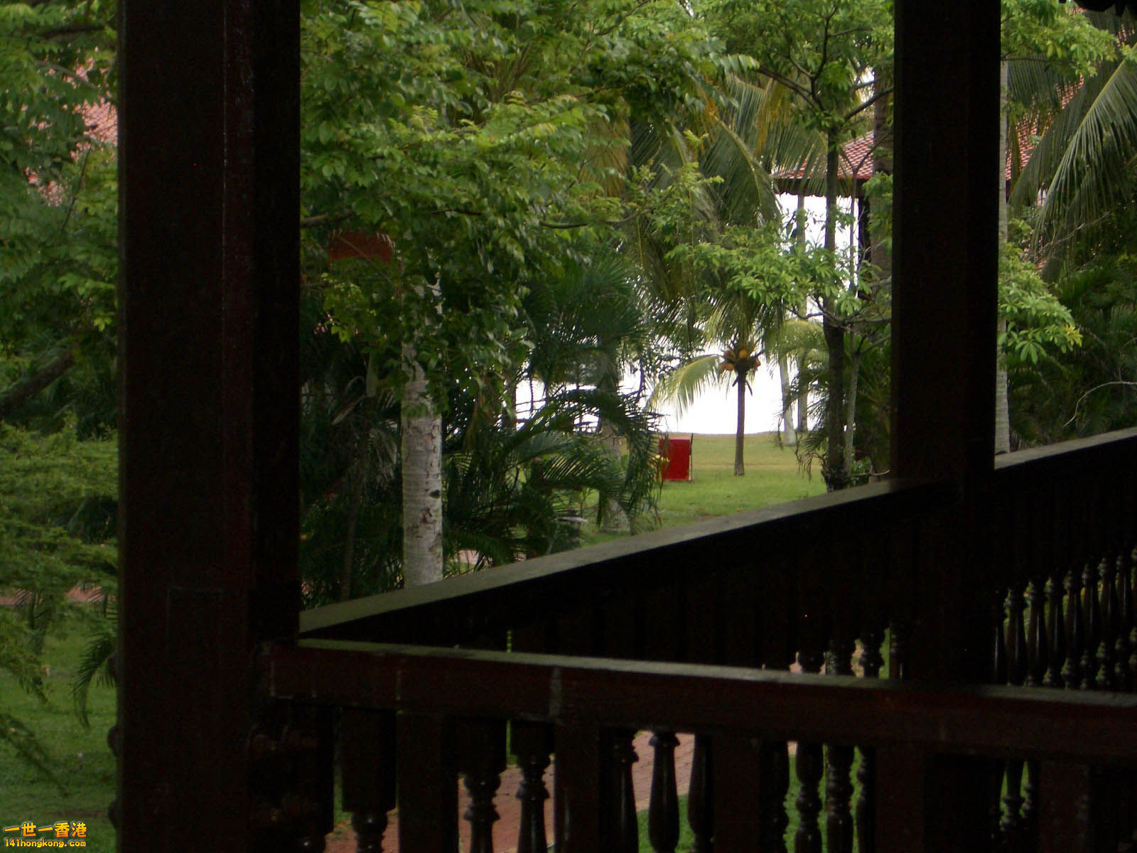 IMGP2224.JPG