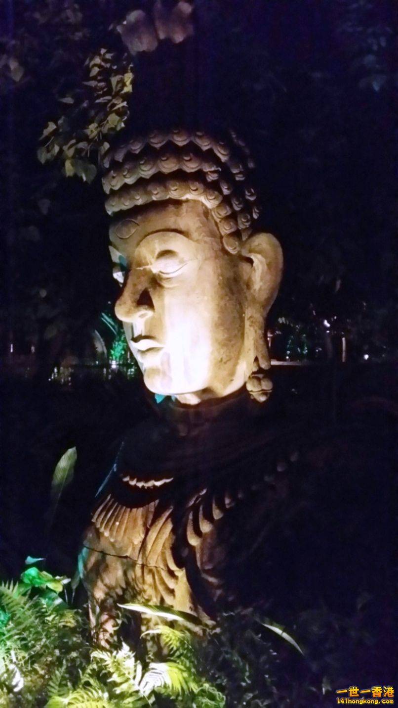 20140815_203047.jpg