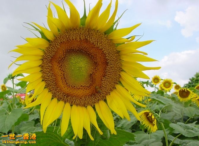 DSC00004.JPG