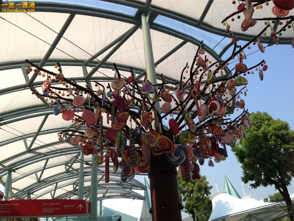 tree.JPG