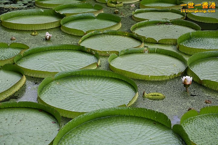 01 (43).jpg