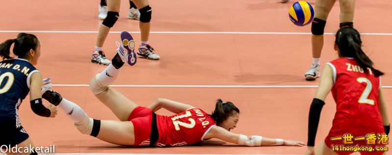 20140808-CY1X0607.jpg
