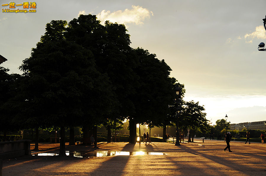 DSC_2386.jpg
