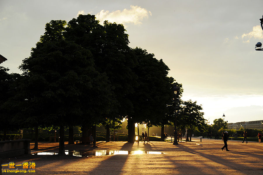 DSC_2386.jpg