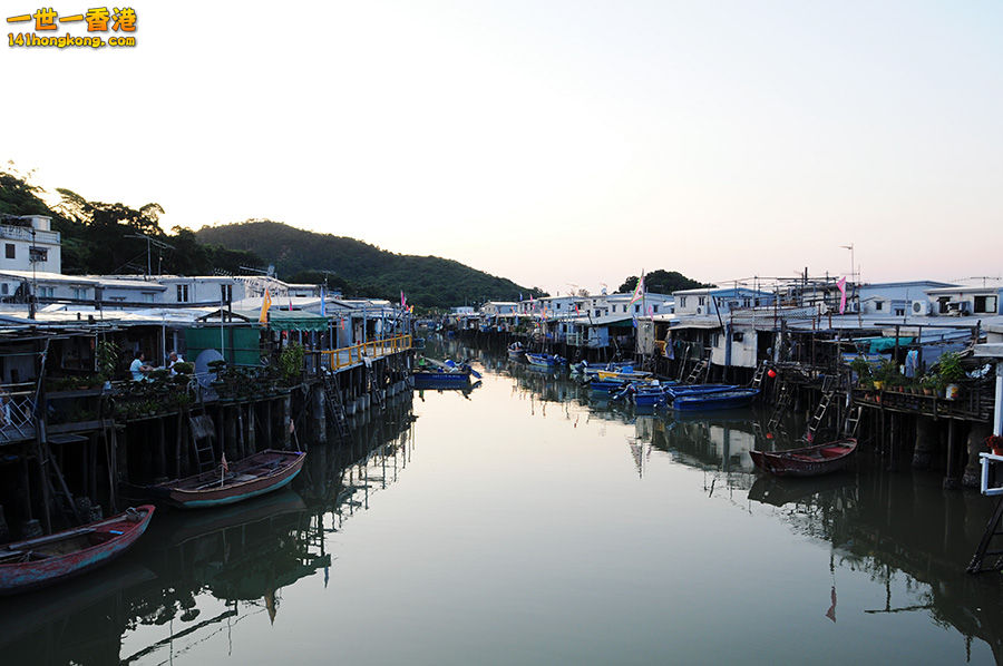 DSC_7107.jpg