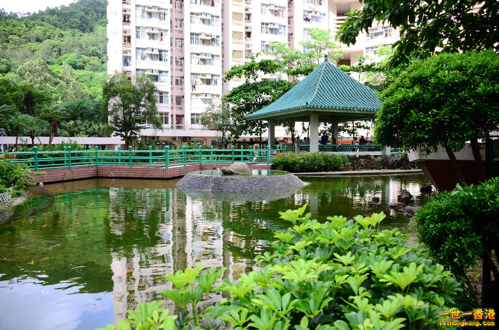 DSC_3647a.jpg