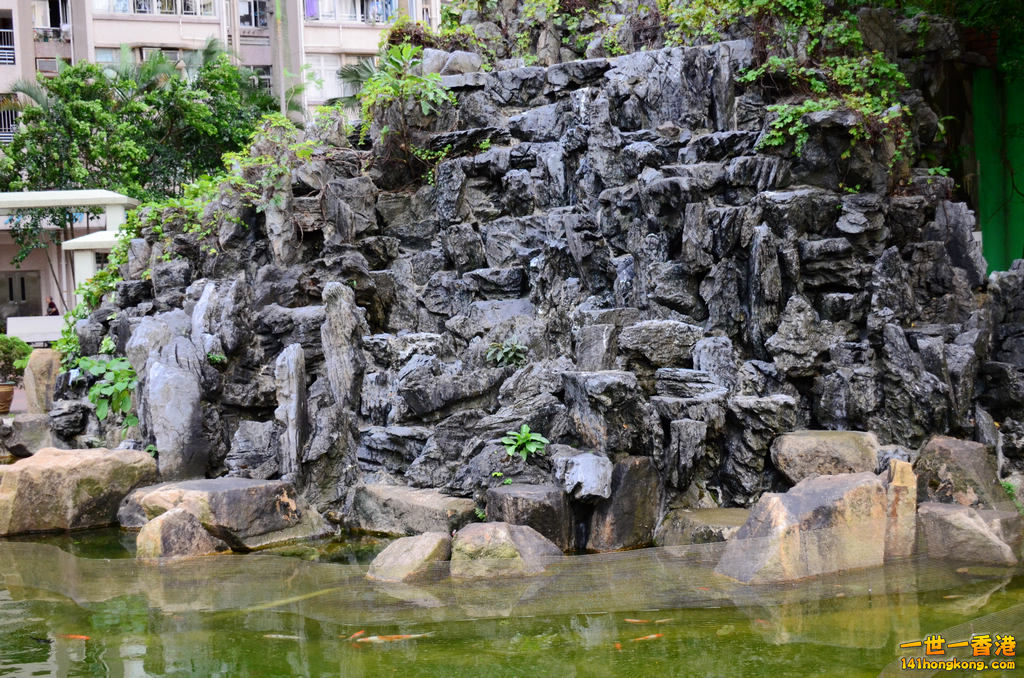 DSC_3651a.jpg