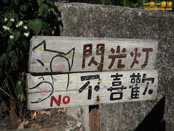 97.jpg