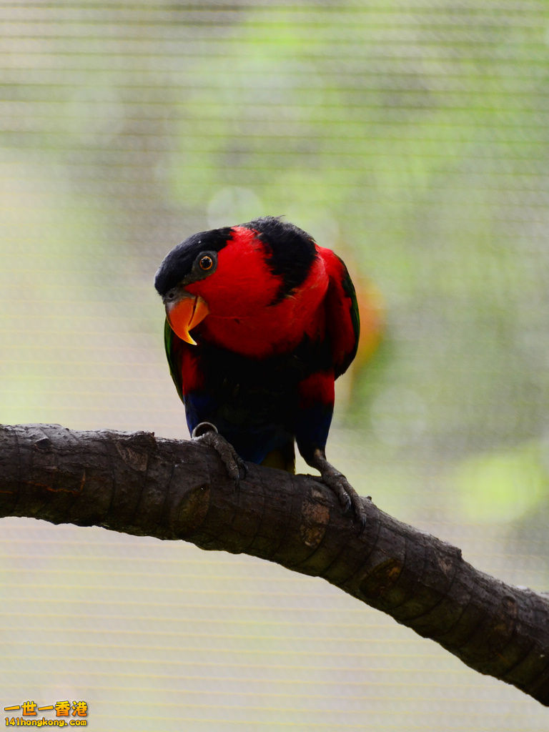 DSC_3820.jpg
