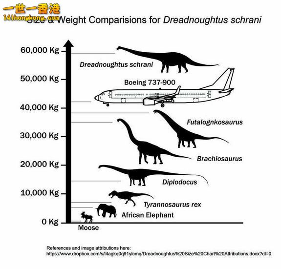 dinosaur-scale.jpg