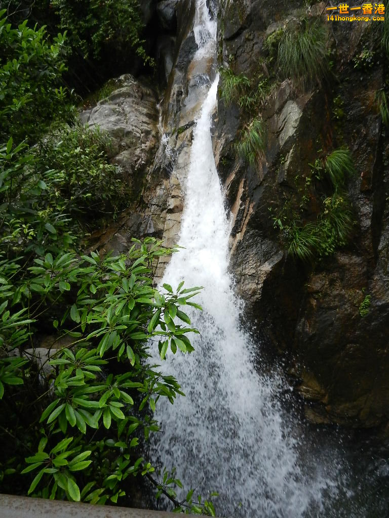 DSCN5926.JPG