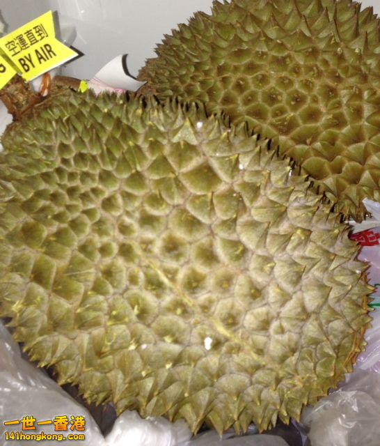 fruit.jpg